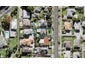 3 Links Road, New Lynn, Auckland - Carousel 1