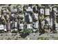 8 Powell Street, Avondale, Auckland - Carousel 1