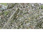 21E Barron Drive, Green Bay, Auckland - Carousel 1
