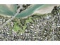 45C Rosario Crescent, Red Beach, Whangaparāoa - Carousel 1