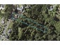 151B Point View Drive, East Tamaki Heights, Auckland - Carousel 1