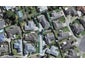 17 Ernest Shackleton Place, Waiuku, Waiuku - Carousel 1