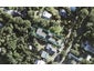 70 Domain Crescent, Waimauku - Carousel 1