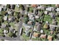 24 Tamatea Avenue, Point England, Auckland - Carousel 1