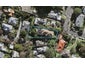 2/63 Esplanade Road, Mount Eden, Auckland - Carousel 1
