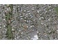 11 Protea Place, Bell Block, New Plymouth - Carousel 1