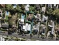 8A Manawa Road, Remuera, Auckland - Carousel 1