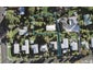 12 Peter Buck Road, New Windsor, Auckland - Carousel 1
