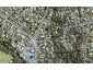 86A Atkinson Road, Titirangi, Auckland - Carousel 1