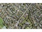 1/101 White Swan Road, Mount Roskill, Auckland - Carousel 1