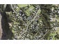 4 Edwin Mitchelson Road, Waimauku - Carousel 1