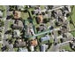 61 Waimahia Avenue, Weymouth, Auckland - Carousel 1