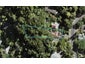 14 Takahe Road, Titirangi, Auckland - Carousel 1