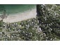 45A Palm Road, Palm Beach, Waiheke Island - Carousel 1