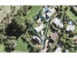15 Deborah Place, Okura, Albany - Carousel 1