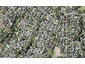 1/61 Ridge Road, Howick, Auckland - Carousel 1