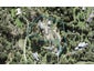 22A Hobbs Road, Matakatia, Whangaparaoa - Carousel 1