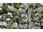 124 Canongate Street, Birkdale, Auckland - Carousel 1