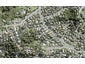 34A Ian Sage Avenue, Torbay, Auckland - Carousel 1