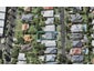 29 Kiwi Road, Stanley Point, Auckland - Carousel 1