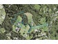 141B Shaw Road, Oratia, Auckland - Carousel 1