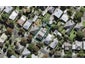41 Malvern Road, Morningside, Auckland - Carousel 1
