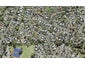 54 La Rosa Street, Green Bay, Auckland - Carousel 1