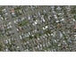65 Banks Street, Richmond, Invercargill - Carousel 1