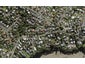 68 Frederick Street, Hillsborough, Auckland - Carousel 1