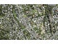141C Glengarry Road, Glen Eden, Auckland - Carousel 1