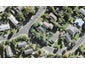 15 Corric Hill, Torbay, Auckland - Carousel 1