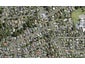 8 Callis Avenue, Opaheke, Papakura - Carousel 1