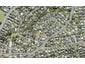 13B Hebron Road, Waiake, Auckland - Carousel 1