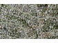 1/6A Abercrombie Street, Howick, Auckland - Carousel 1