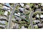 54 Swann Beach Road, Stanmore Bay, Whangaparaoa - Carousel 1