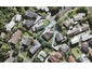 6 Rangitane Place, Lynfield, Auckland - Carousel 1