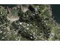 38 Great Barrier Road, Oneroa, Waiheke Island - Carousel 1