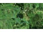 677 Omaunu Road, Kaeo, Kaeo - Carousel 1