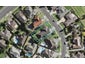 9 Crannog Fen, Wattle Downs, Auckland - Carousel 1