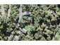 348 Forest Hill Road, Waiatarua, Auckland - Carousel 1