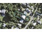 64 Domain Crescent, Waimauku - Carousel 1