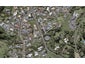 41 Veale Road, Frankleigh Park, New Plymouth - Carousel 1