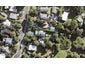 10 Ngatira Road, Waimauku - Carousel 1