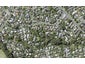 26 Channel View Road, Campbells Bay, Auckland - Carousel 1