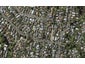 46B Lucerne Road, Remuera, Auckland - Carousel 1