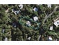 55 Hill Road, Palm Beach, Waiheke Island - Carousel 1