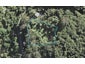 67 Karekare Road, Karekare, Auckland - Carousel 1