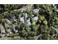 79 Wood Bay Road, Titirangi, Auckland - Carousel 1