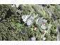 133 Victory Road, Laingholm, Auckland - Carousel 1