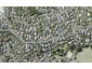 2/49 Hastings Road, Mairangi Bay, Auckland - Carousel 1